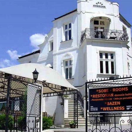 Villa Devedzic Vrnjačka Banja Екстериор снимка